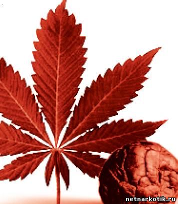 Вся правда о марихуане i семена конопли с алиэкспресс